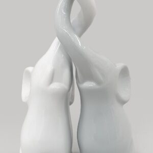 Coppia elefanti bianco grigio