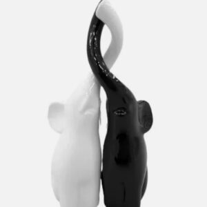 Coppia elefanti bianco e nero h34