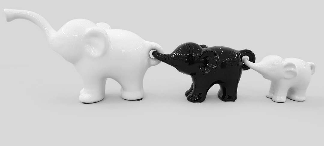 Carovana elefanti bianco e nero